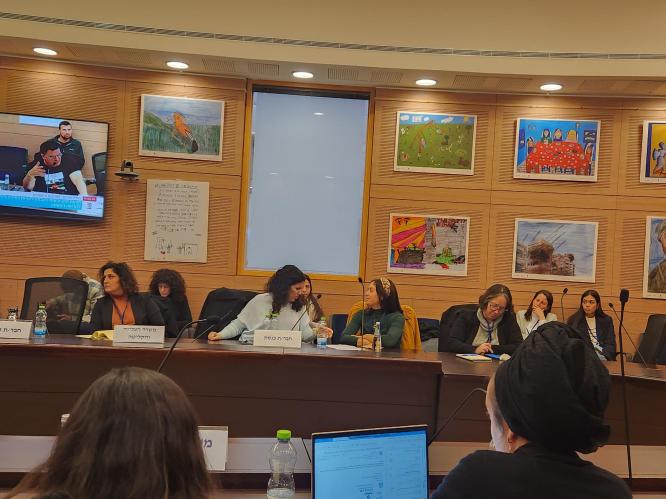 Dr. Sarit Silverman at Education Committee